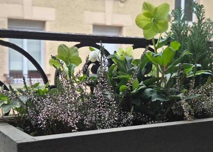 Apartman Le Galeriste - Parking Inclus